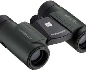Olympus 10x21 RC II WP Fernglas Schwarz (V501054BE000)