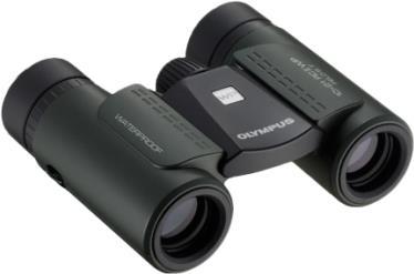Olympus 10x21 RC II WP Fernglas Schwarz (V501054BE000)