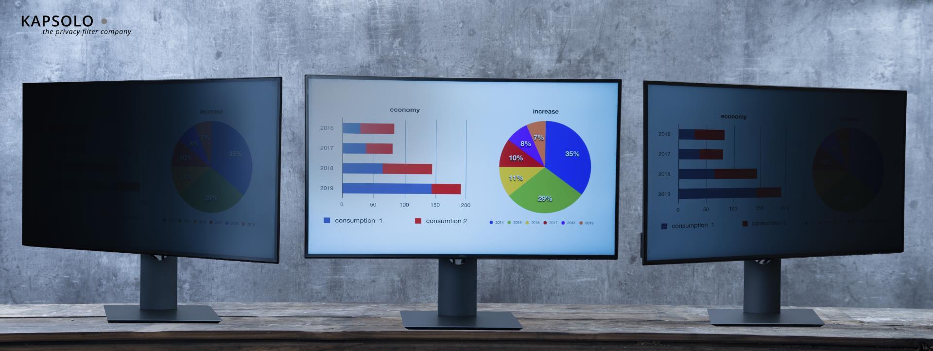 KAPSOLO 2-wege Blickschutzfilter / Blickschutzfolie abnehmbar für 51,05cm (20.1") 4:3 - Monitor - Rahmenloser Display-Privatsphärenfilter - Transparent - Privatsphäre - 4:3 - 30° (KAP10735)