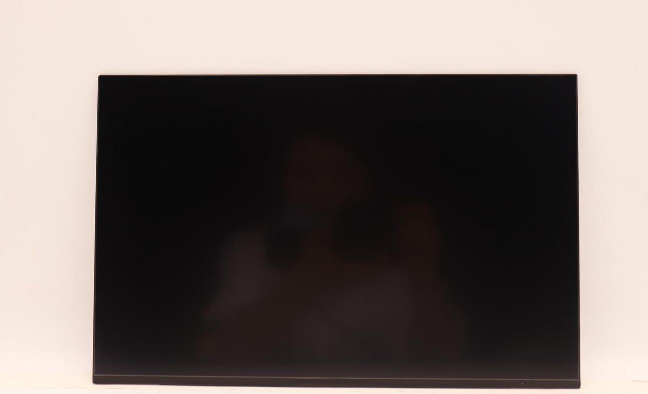 Lenovo DISPLAY INX 14.0 WUXGA AG LCLW (5D10V82401)