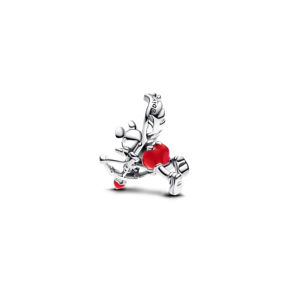 PANDORA JEWELRY Mod. 793616C01