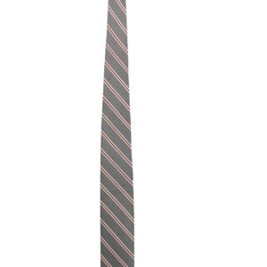 GANT CRAVATTA UOMO GRIGIO