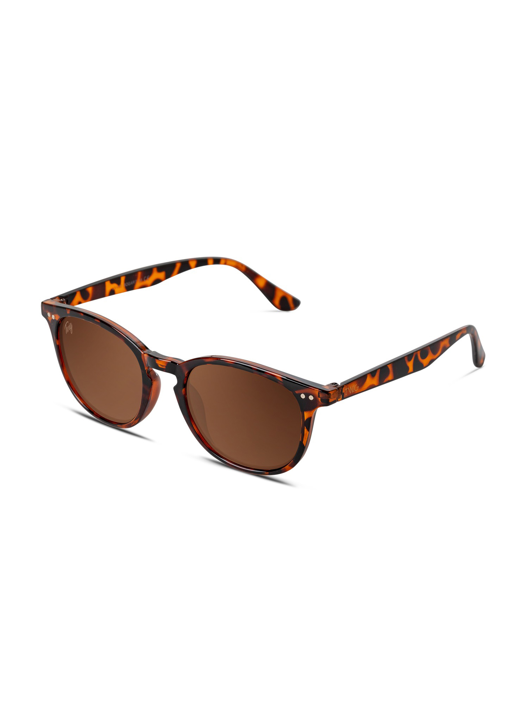 Twig Bogart Unisex Marrone 151102