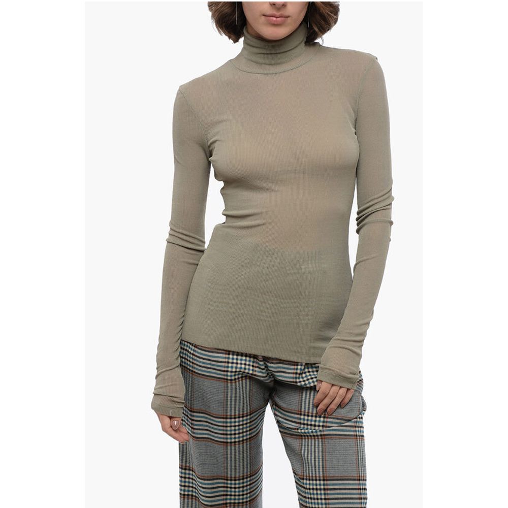Ribbed Sheer Effect Top with Turtleneck