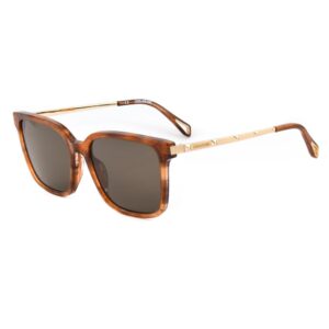 Brown Haircalf Sunglasses